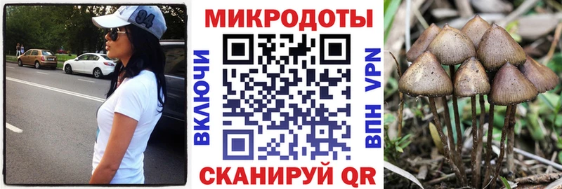 Псилоцибиновые грибы прущие грибы  Жуков 
